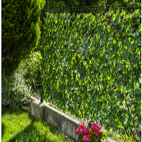 Garden King Umělý živý plot HEDERA FLEXI 200 x 100 cm